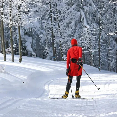 Peter In Im Bayerischen Wald Apartmán