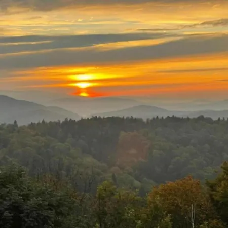 Peter In Im Bayerischen Wald