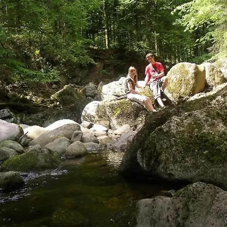 Peter In Im Bayerischen Wald 公寓 弗赖翁
