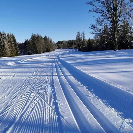 公寓 Peter In Im Bayerischen Wald 弗赖翁
