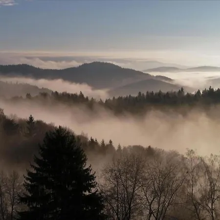 Peter In Im Bayerischen Wald *