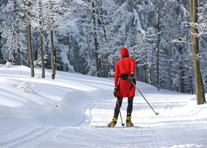 Peter In Im Bayerischen Wald דירה