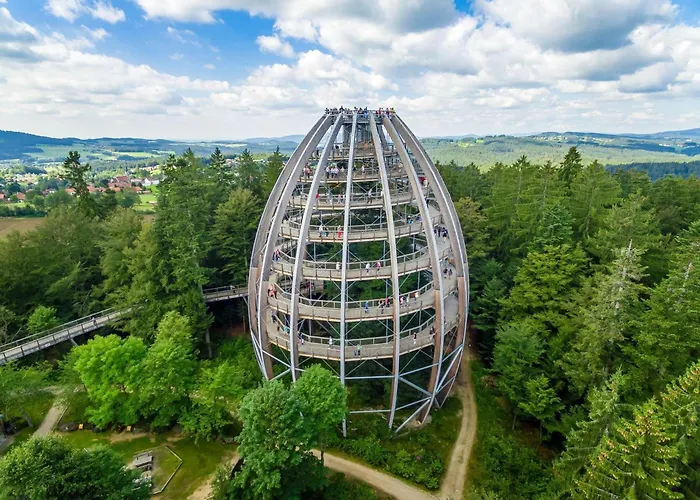 Peter In Im Bayerischen Wald *