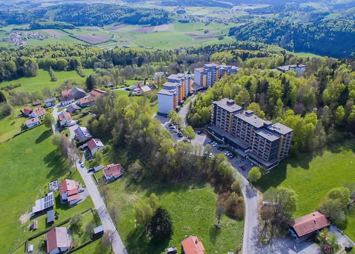 Peter In Im Bayerischen Wald * פרייאונג