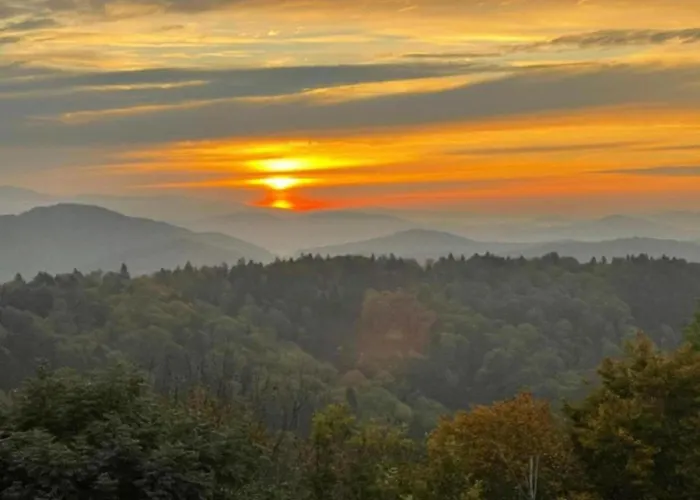 Peter In Im Bayerischen Wald