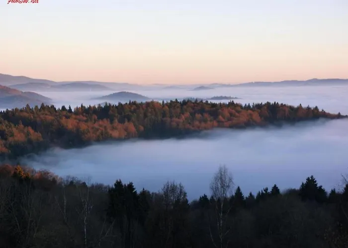Peter In Im Bayerischen Wald *