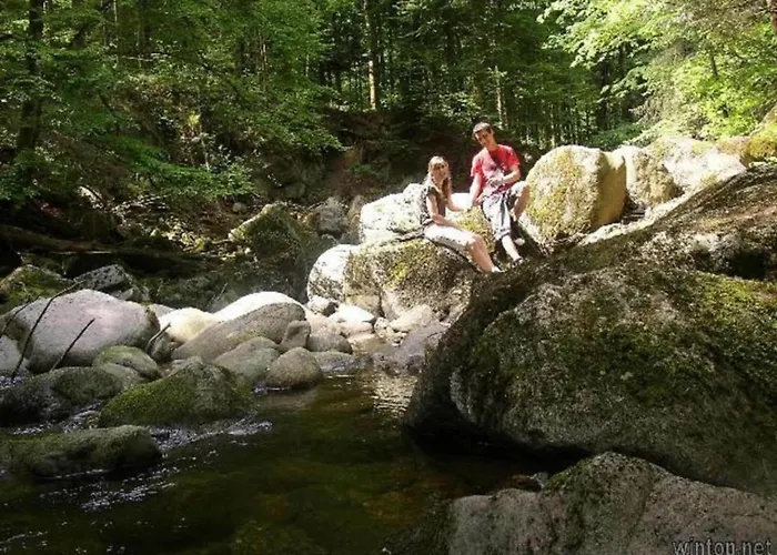 Peter In Im Bayerischen Wald דירה פרייאונג