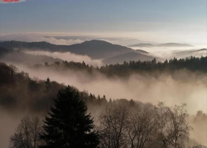 Peter In Im Bayerischen Wald *