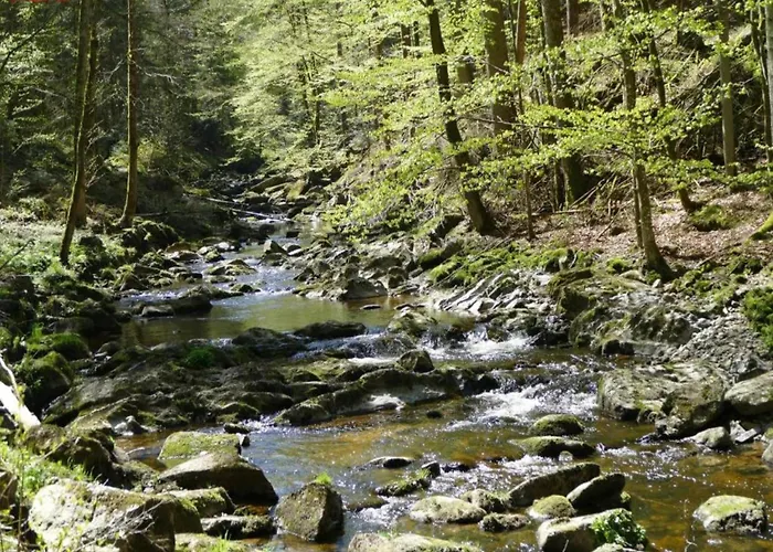 Peter In Im Bayerischen Wald דירה