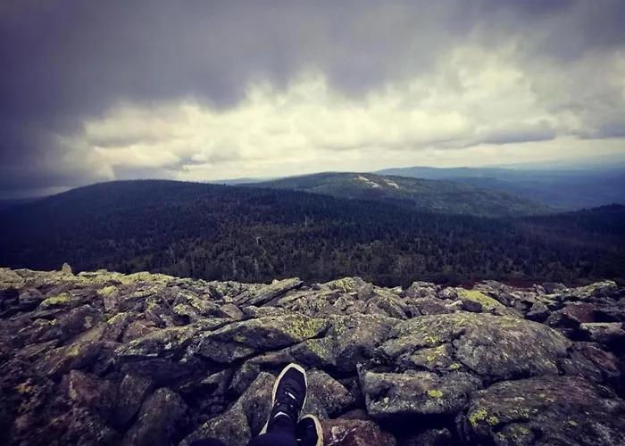 Peter In Im Bayerischen Wald * פרייאונג