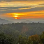 Peter In Im Bayerischen Wald