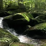 Peter In Im Bayerischen Wald Lejlighed
