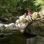 Peter In Im Bayerischen Wald Lejlighed Freyung