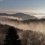 Peter In Im Bayerischen Wald *