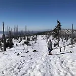 Peter In Im Bayerischen Wald