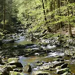 Peter In Im Bayerischen Wald Lejlighed