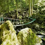 Peter In Im Bayerischen Wald Freyung