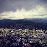 Peter In Im Bayerischen Wald * Freyung