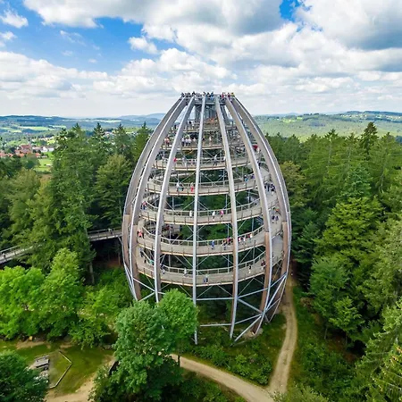 Peter In Im Bayerischen Wald *
