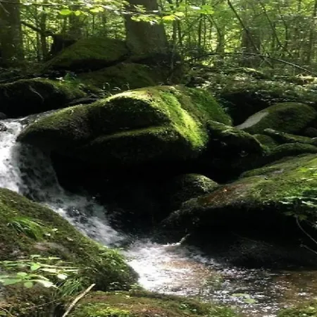 Peter In Im Bayerischen Wald Appartamento
