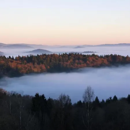 Peter In Im Bayerischen Wald *