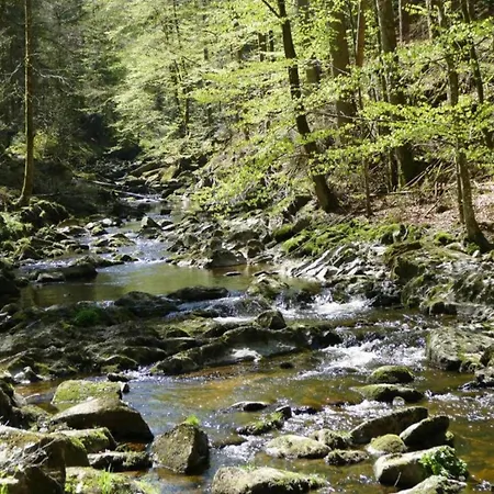 Peter In In The Bavarian Forest Daire