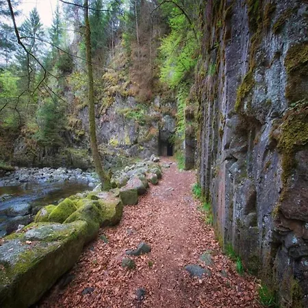 Daire Peter In In The Bavarian Forest