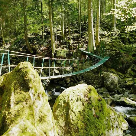 Peter In In The Bavarian Forest Freyung